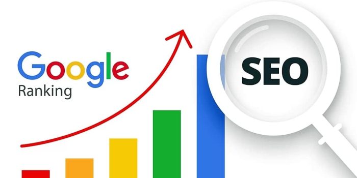 Visibilita Google 001